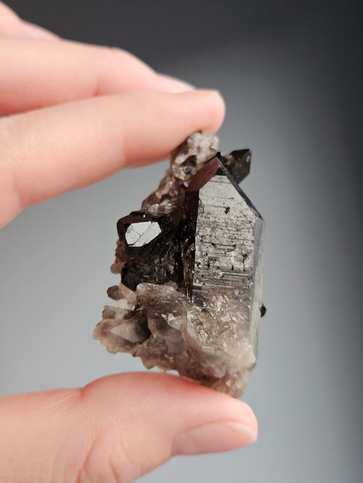 Smoky Quartz Raw Crystal Specimen – Wholehearted Crystal Creations