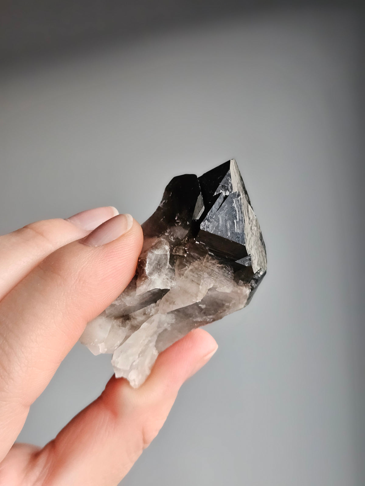 Smoky Quartz Raw Crystal Specimen – Wholehearted Crystal Creations