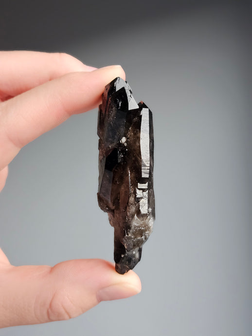 Smoky Quartz Raw Crystal Specimen – Wholehearted Crystal Creations