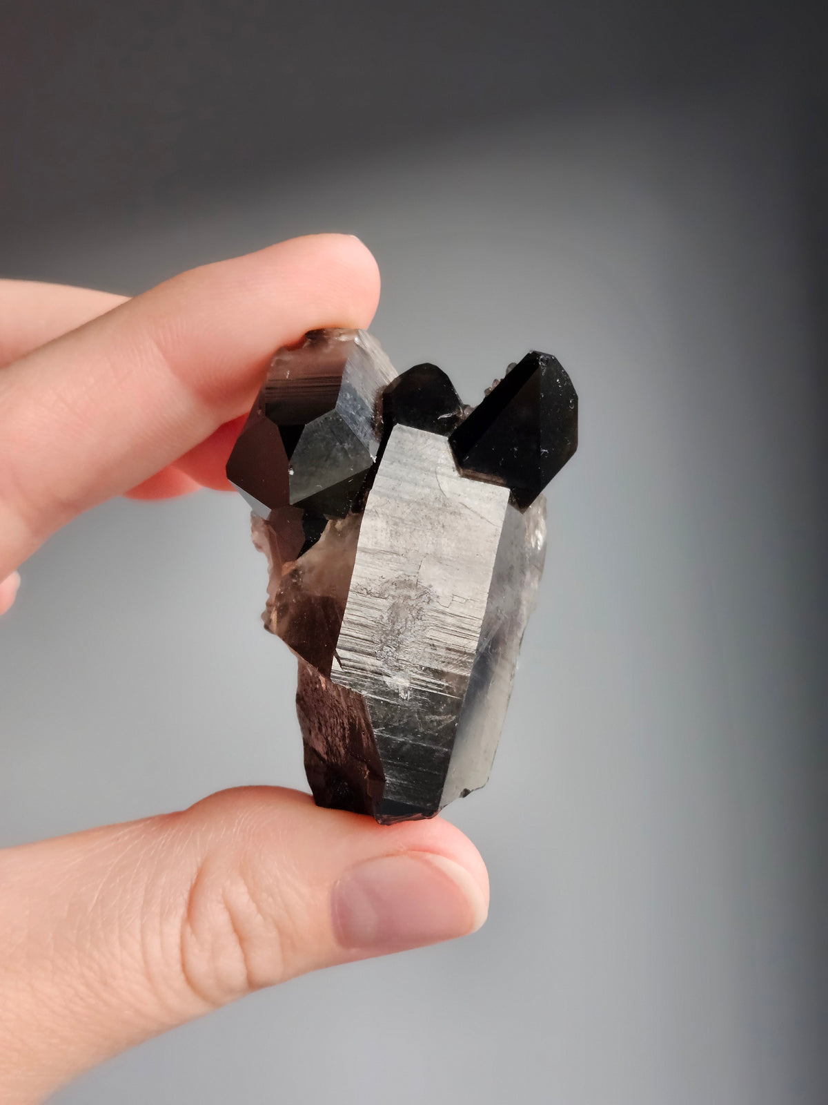 Smoky Quartz Raw Crystal Specimen – Wholehearted Crystal Creations