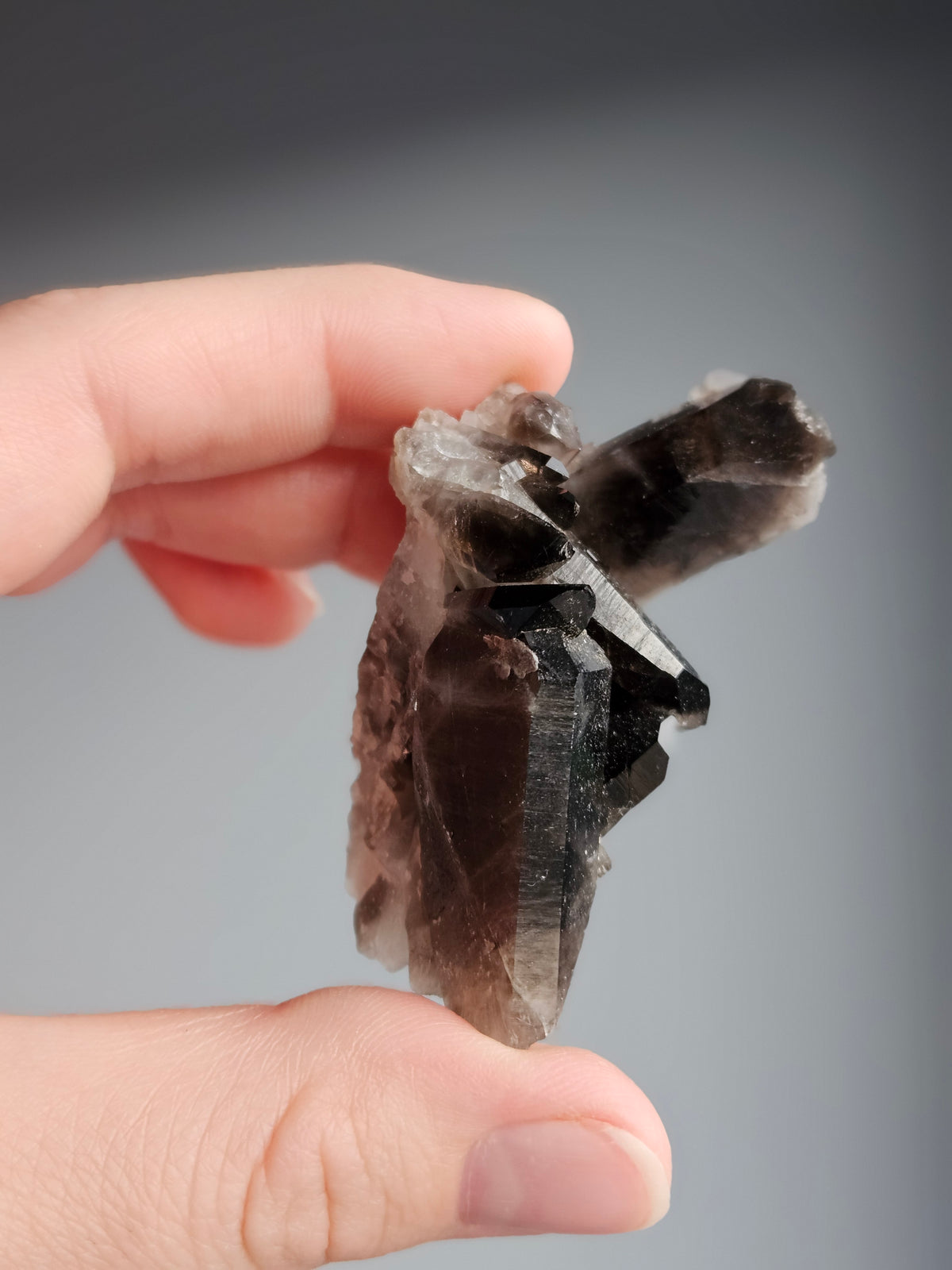 Smoky Quartz Raw Crystal Specimen – Wholehearted Crystal Creations