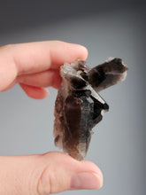 Smoky Quartz Raw Crystal Specimen – Wholehearted Crystal Creations