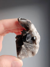 Smoky Quartz Raw Crystal Specimen – Wholehearted Crystal Creations