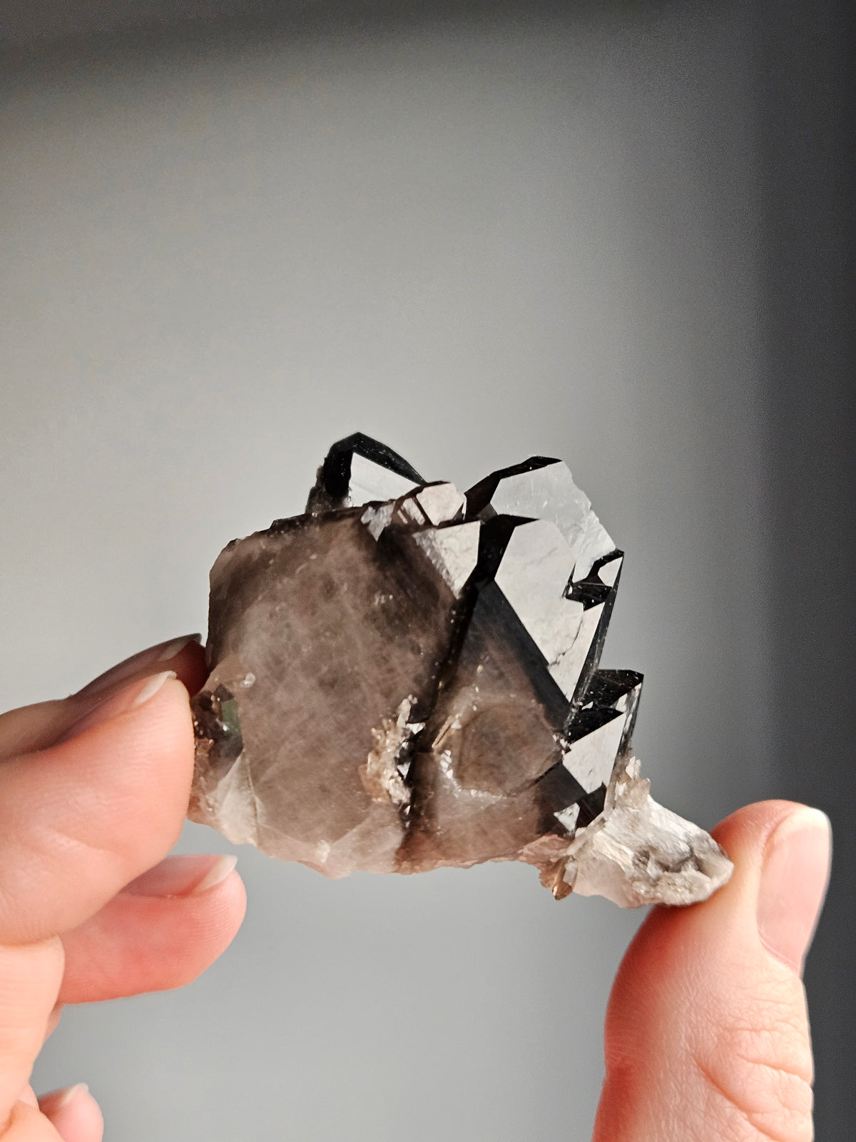 Smoky Quartz Raw Crystal Specimen – Wholehearted Crystal Creations
