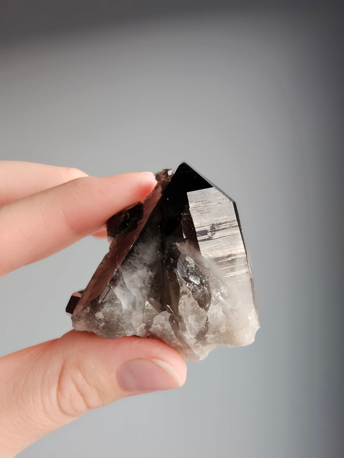 Smoky Quartz Raw Crystal Specimen – Wholehearted Crystal Creations