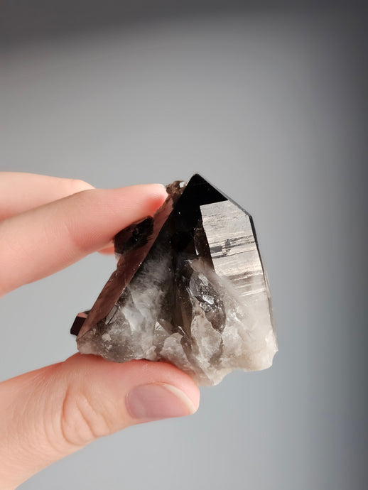 Smoky Quartz Raw Crystal Specimen – Wholehearted Crystal Creations