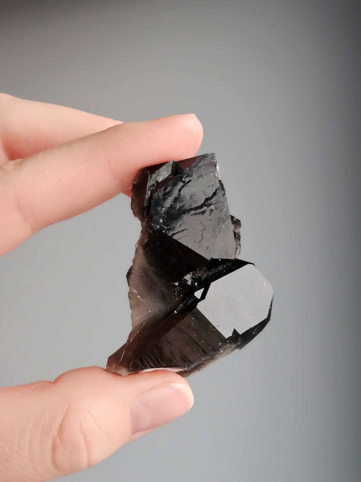 Smoky Quartz Raw Crystal Specimen – Wholehearted Crystal Creations
