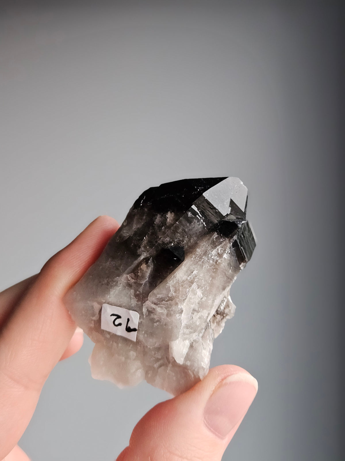 Smoky Quartz Raw Crystal Specimen – Wholehearted Crystal Creations