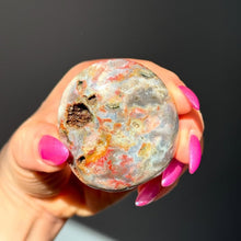 Ocean Jasper Palmstone Specimen