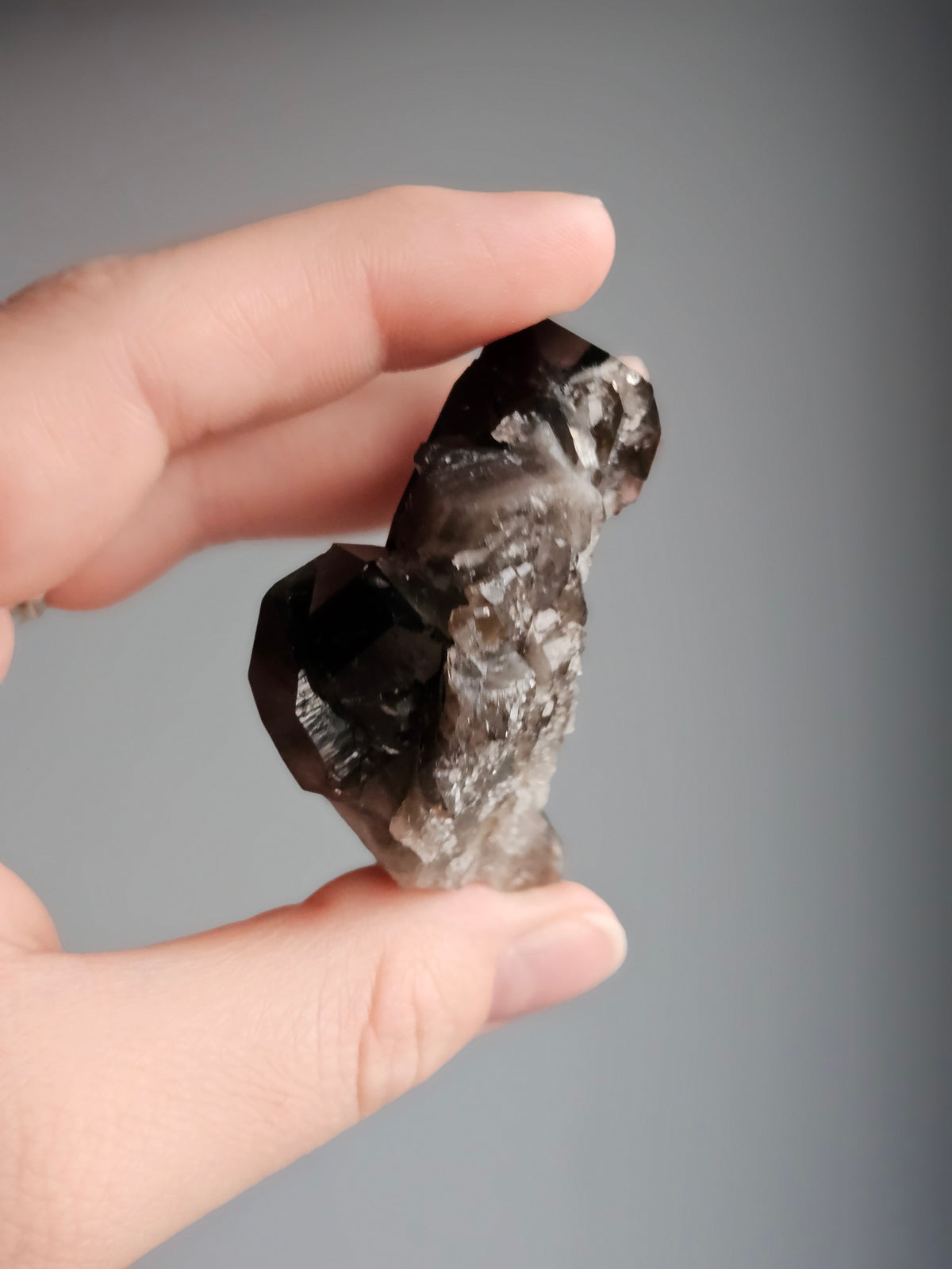 Smoky Quartz Raw Crystal Specimen – Wholehearted Crystal Creations