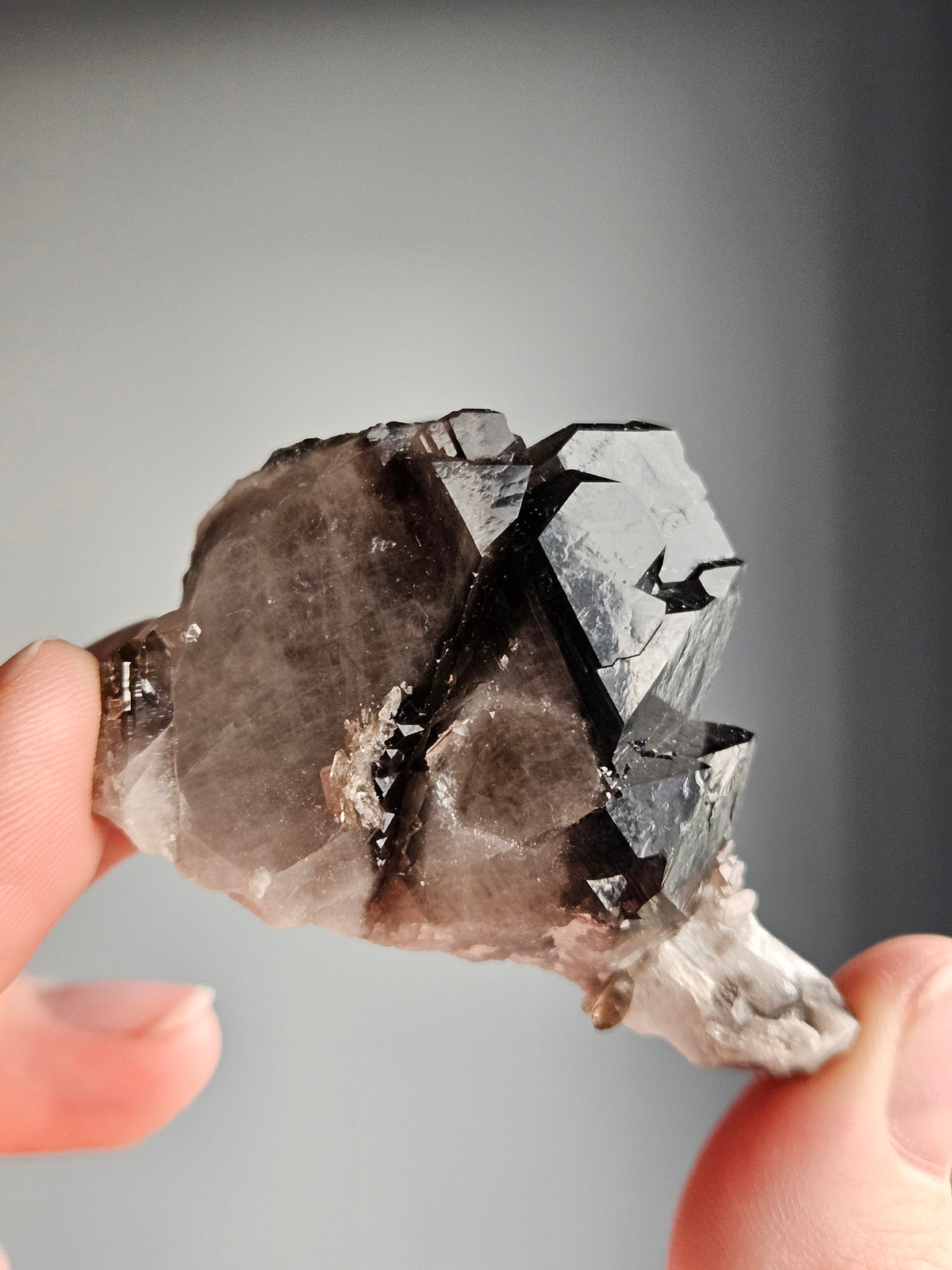 Smoky Quartz Raw Crystal Specimen – Wholehearted Crystal Creations