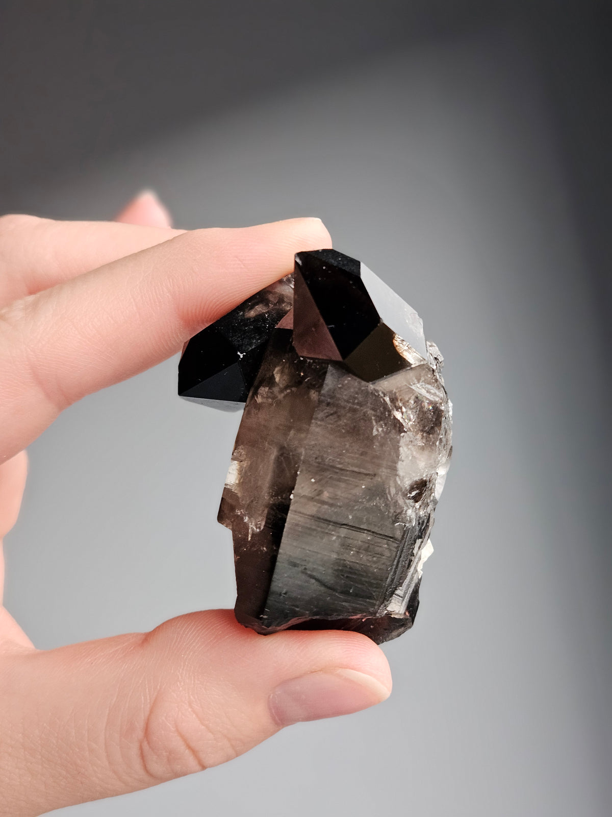Smoky Quartz Raw Crystal Specimen – Wholehearted Crystal Creations