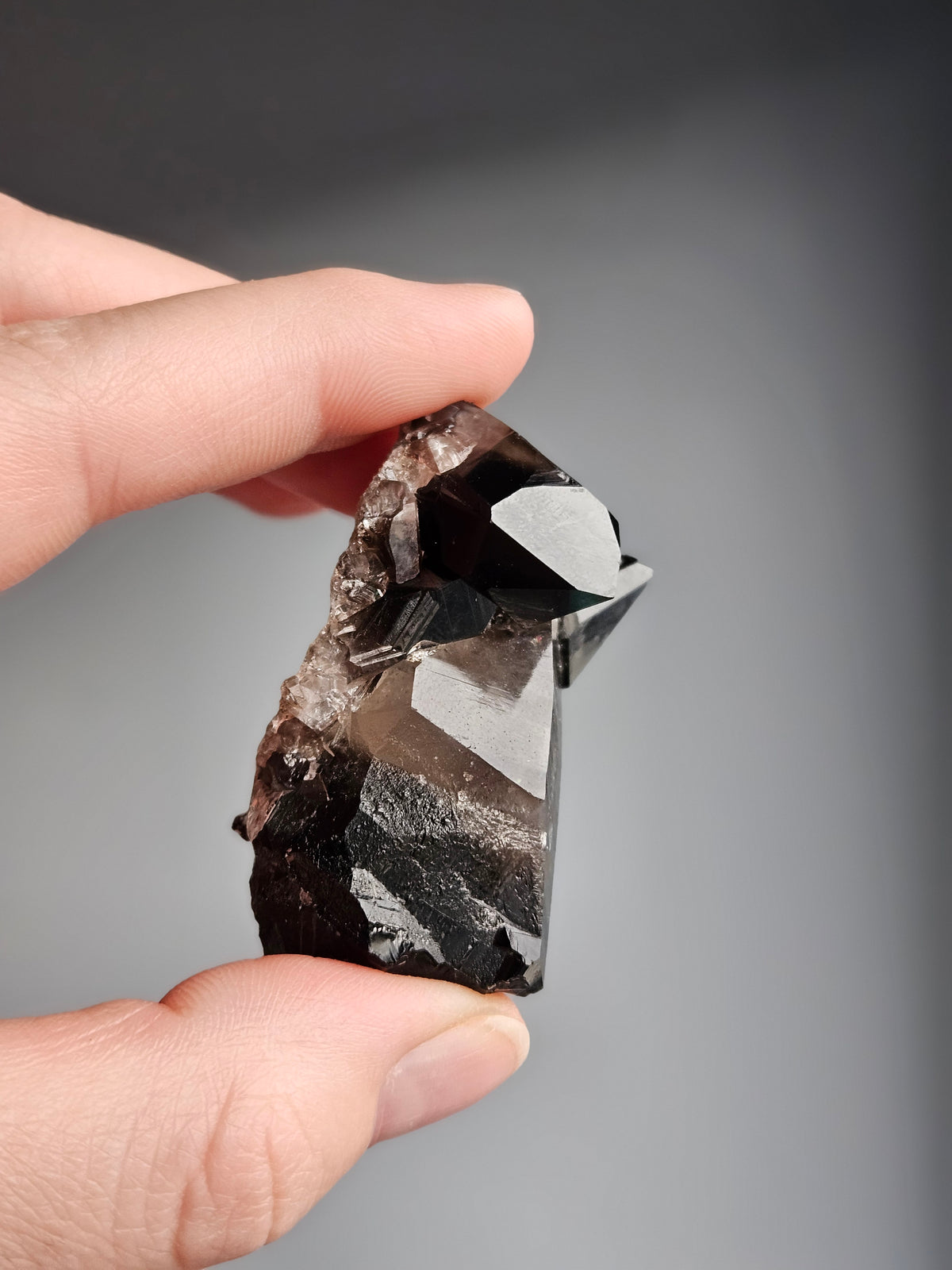 Smoky Quartz Raw Crystal Specimen – Wholehearted Crystal Creations
