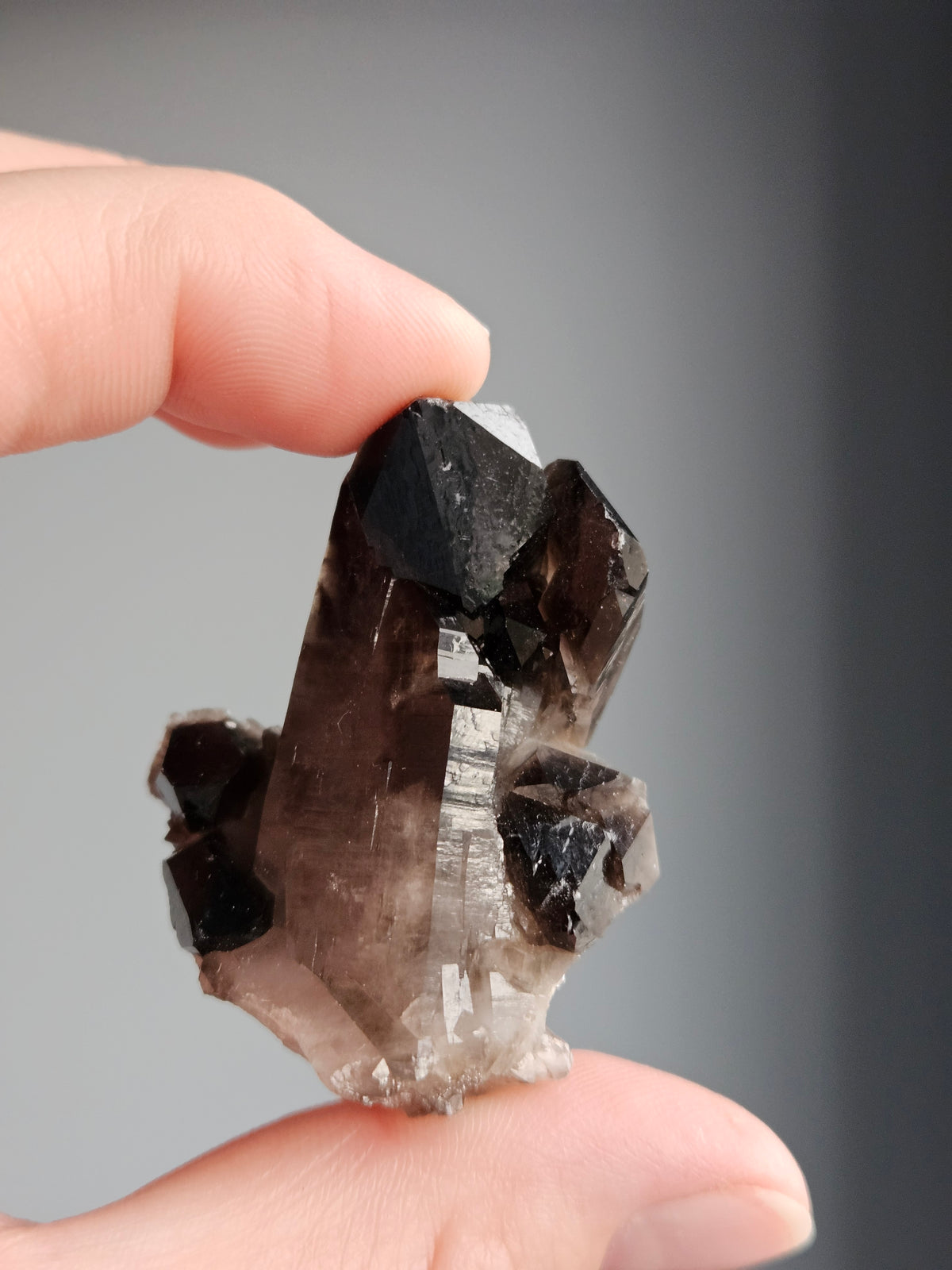 Smoky Quartz Raw Crystal Specimen – Wholehearted Crystal Creations