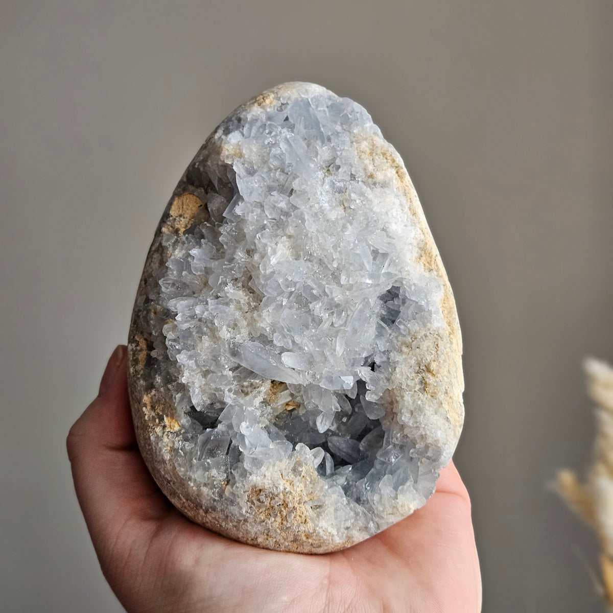 Celestite Raw Crystal Specimen – Wholehearted Crystal Creations