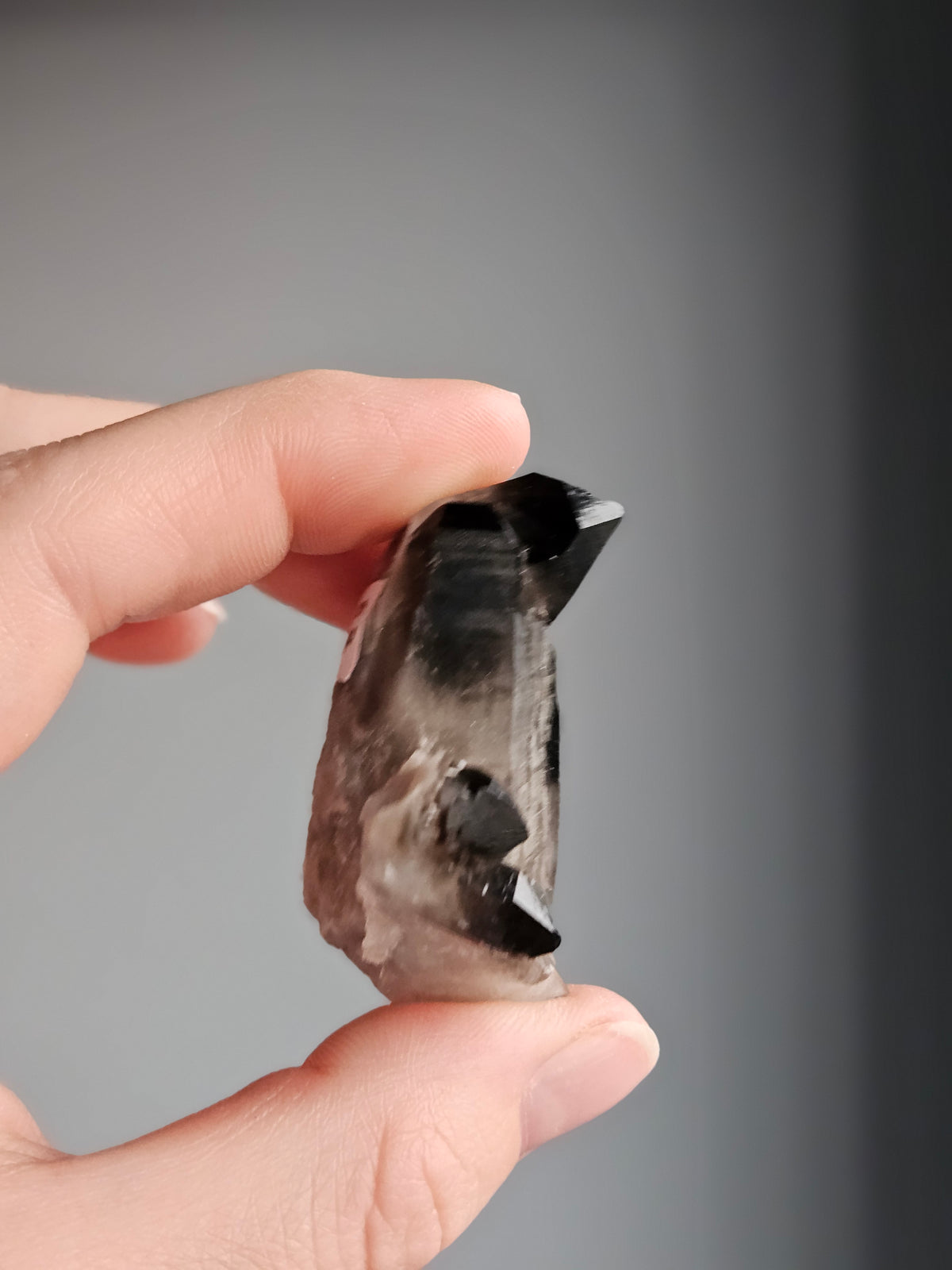 Smoky Quartz Raw Crystal Specimen – Wholehearted Crystal Creations