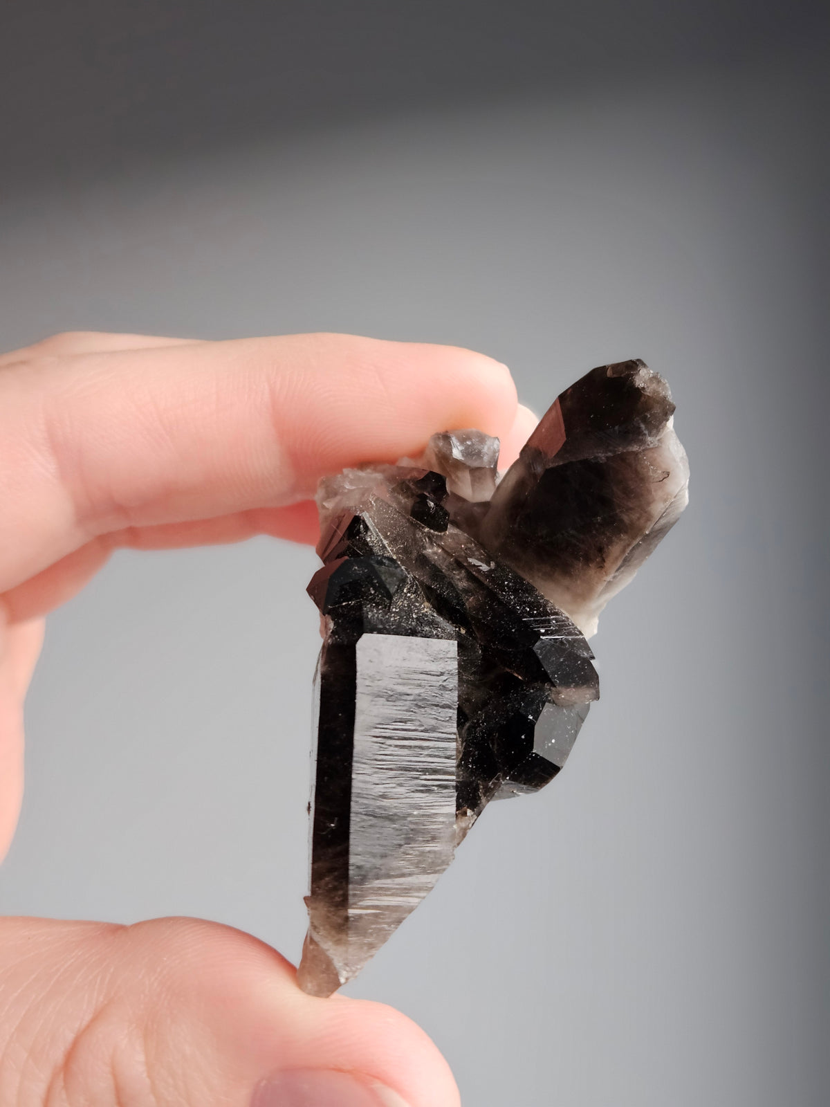 Smoky Quartz Raw Crystal Specimen – Wholehearted Crystal Creations