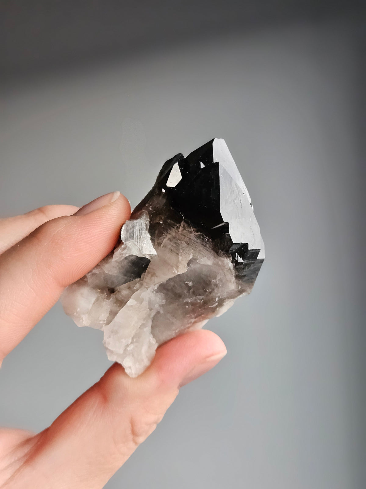 Smoky Quartz Raw Crystal Specimen – Wholehearted Crystal Creations