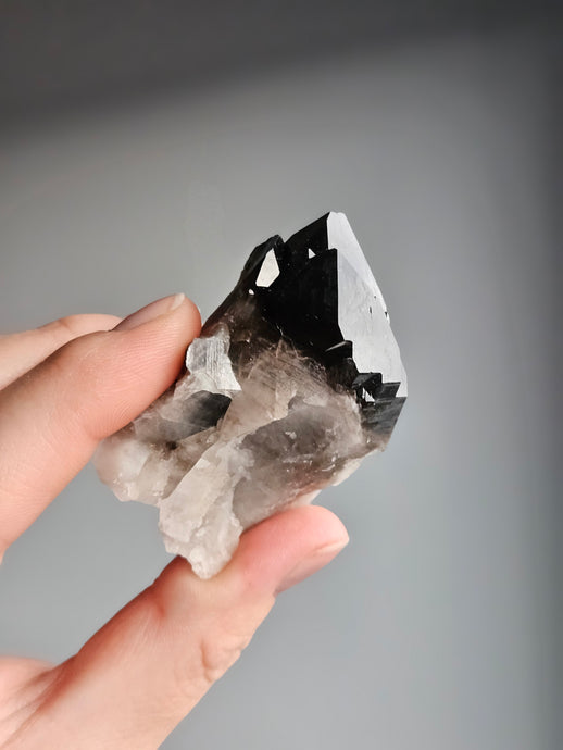 Smoky Quartz Raw Crystal Specimen – Wholehearted Crystal Creations