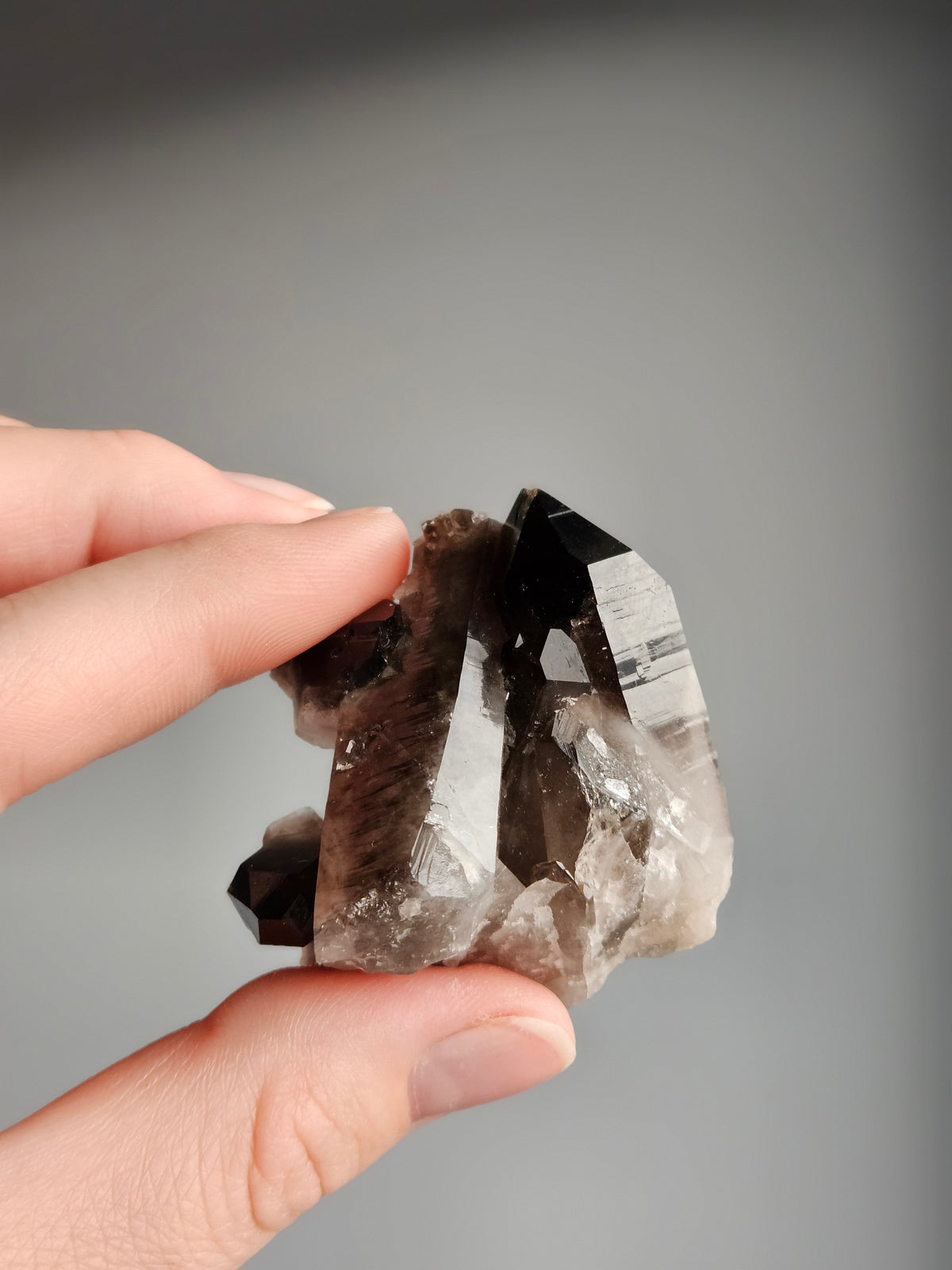 Smoky Quartz Raw Crystal Specimen – Wholehearted Crystal Creations