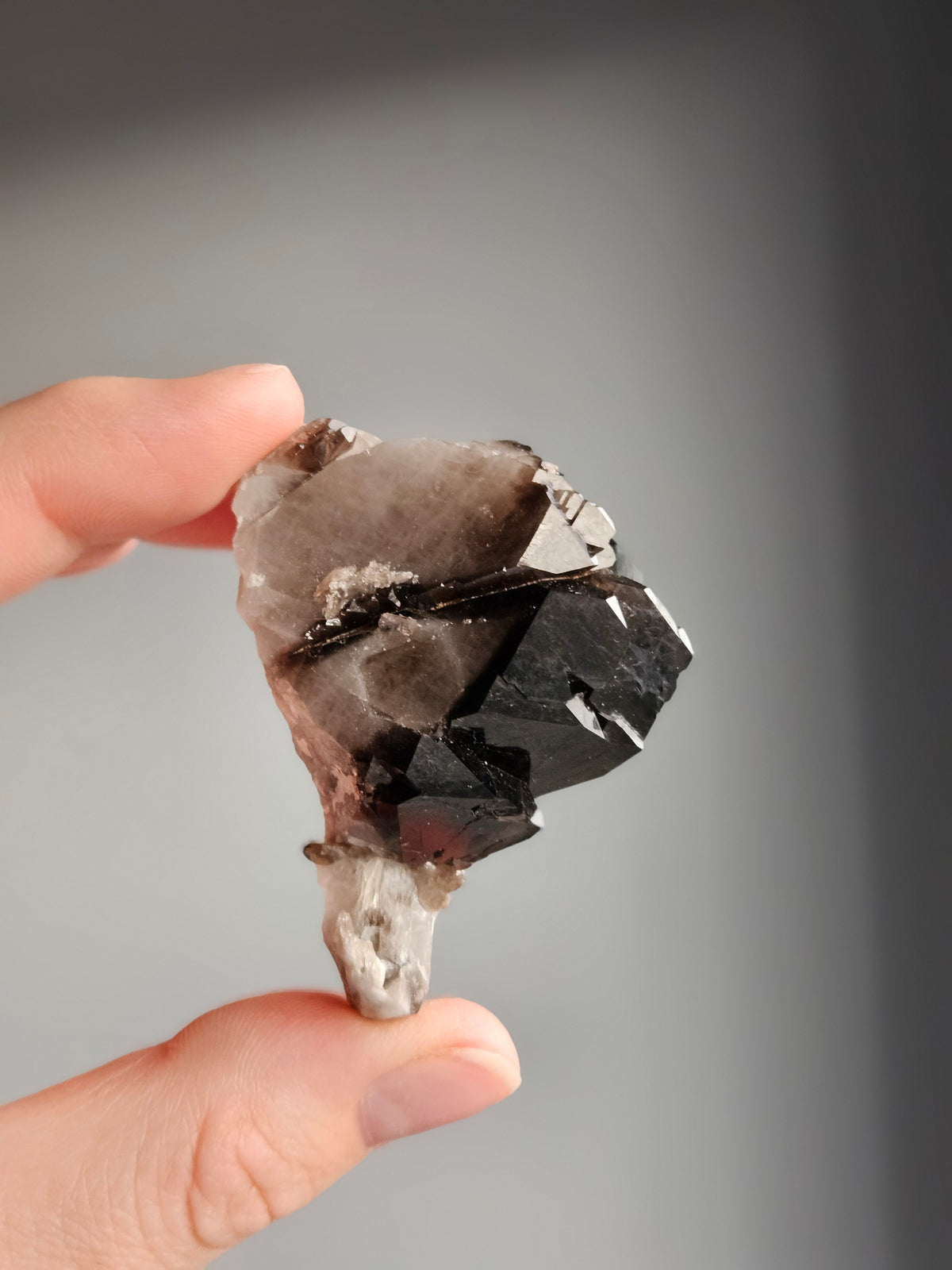 Smoky Quartz Raw Crystal Specimen – Wholehearted Crystal Creations