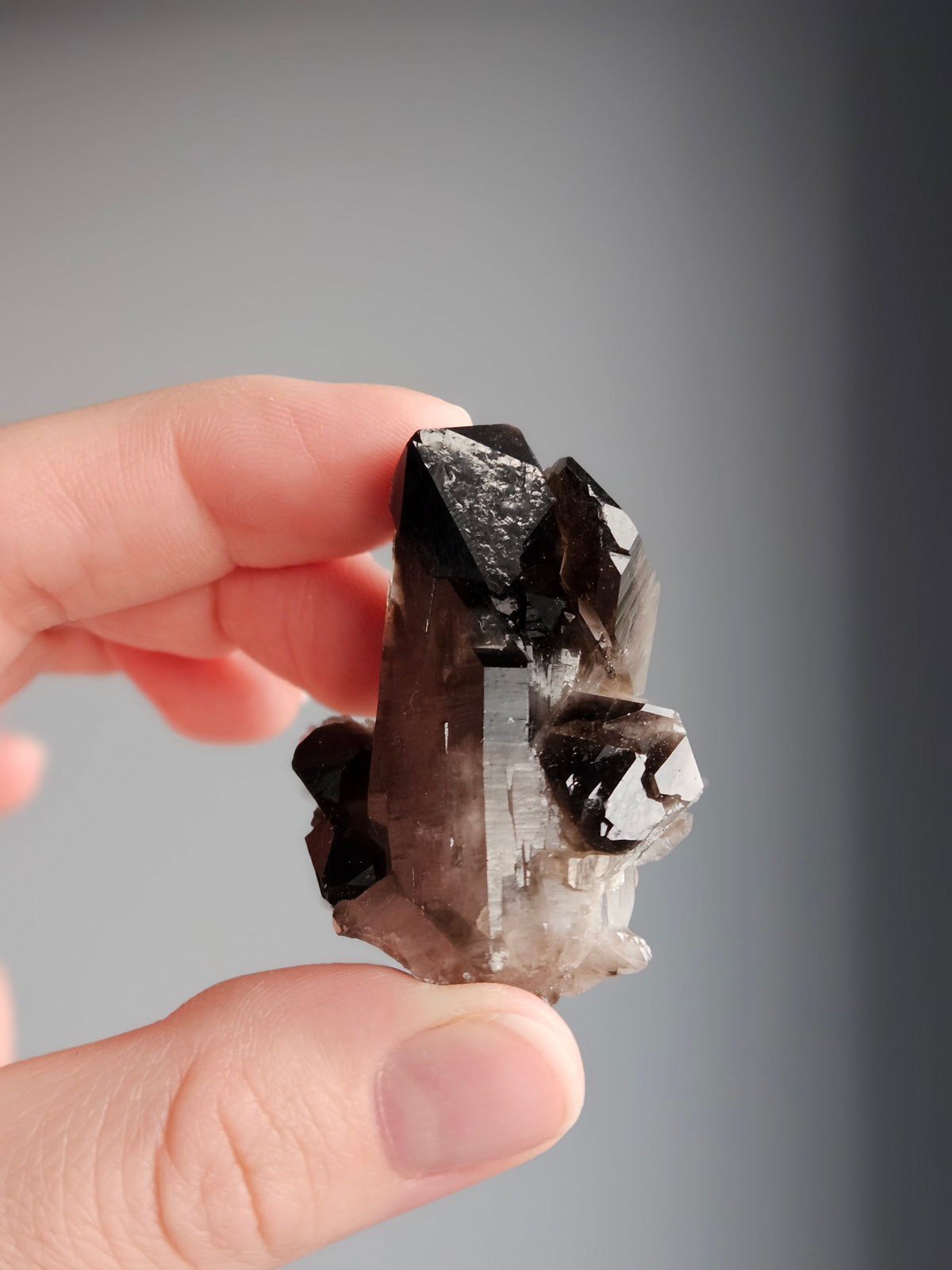 Smoky Quartz Raw Crystal Specimen – Wholehearted Crystal Creations