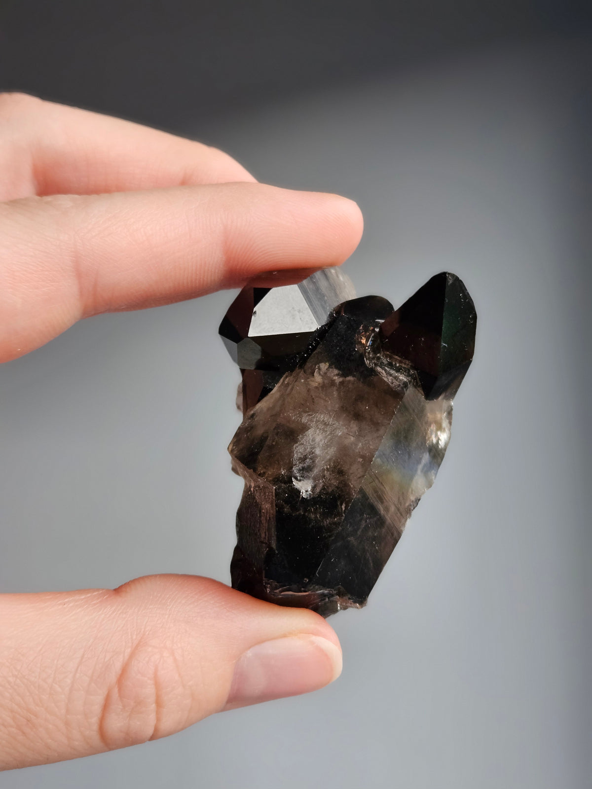 Smoky Quartz Raw Crystal Specimen – Wholehearted Crystal Creations
