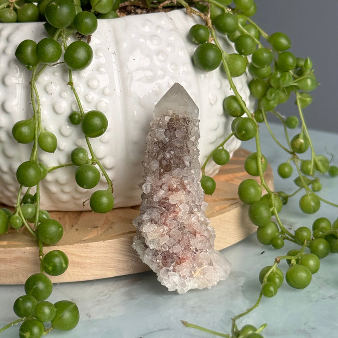 Spirit Quartz with Hematoid Raw Crystal Point Specimen – Wholehearted Crystal Creations