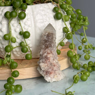 Spirit Quartz with Hematoid Raw Crystal Point Specimen – Wholehearted Crystal Creations