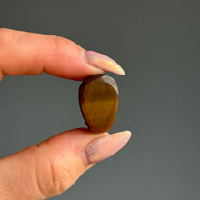 Tiger's Eye Mini Skull Carving Crystal Specimen – Wholehearted Crystal Creations