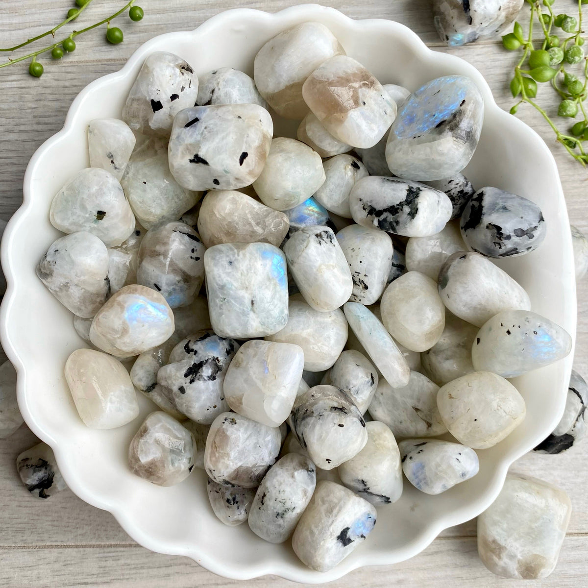 Rainbow Moonstone Regular Pocket Stone Crystal Specimen – Wholehearted Crystal Creations