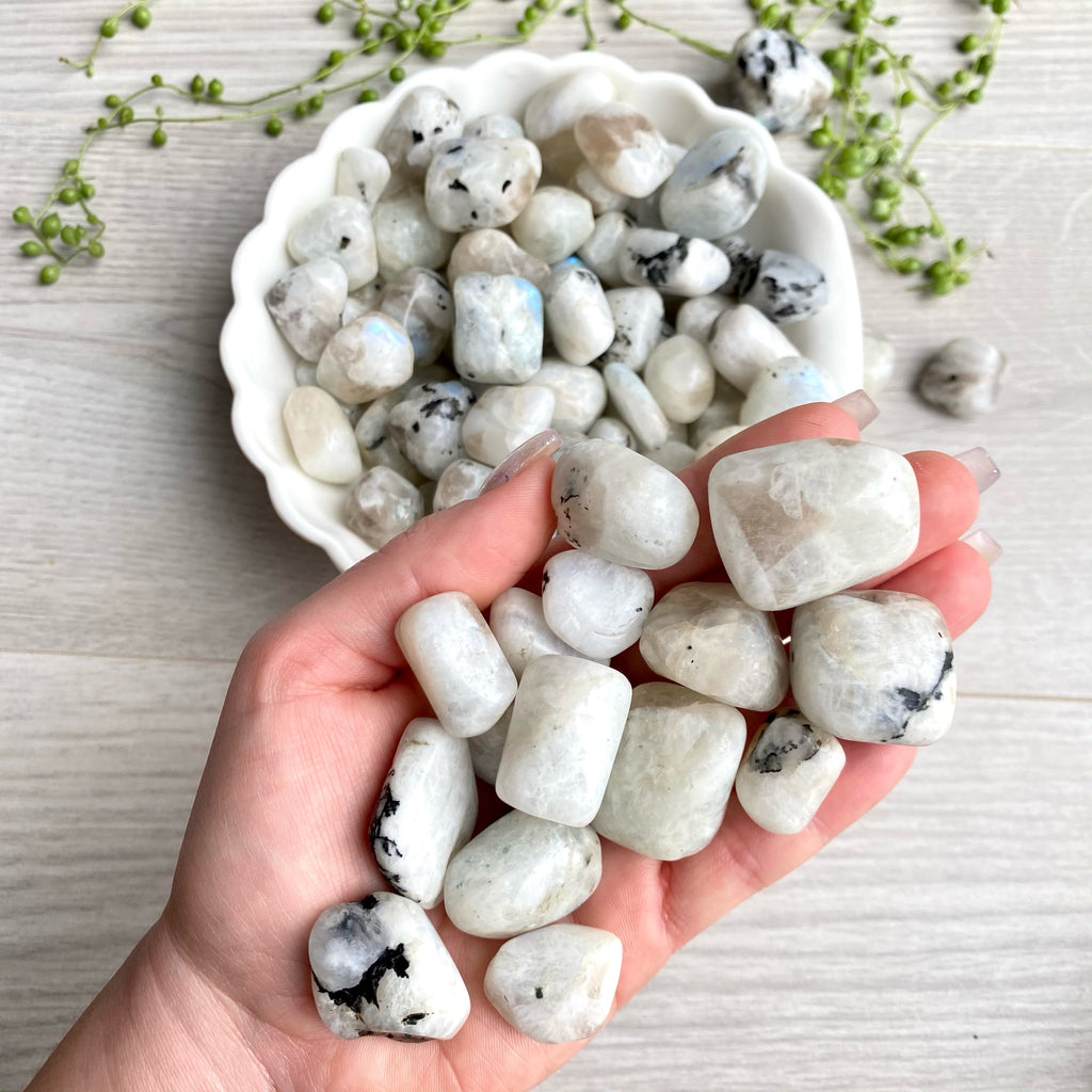 Rainbow Moonstone Regular Pocket Stone Crystal Specimen – Wholehearted Crystal Creations