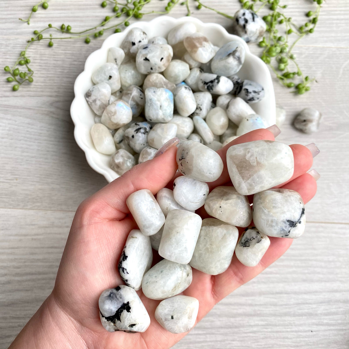 Rainbow Moonstone Regular Pocket Stone Crystal Specimen – Wholehearted Crystal Creations