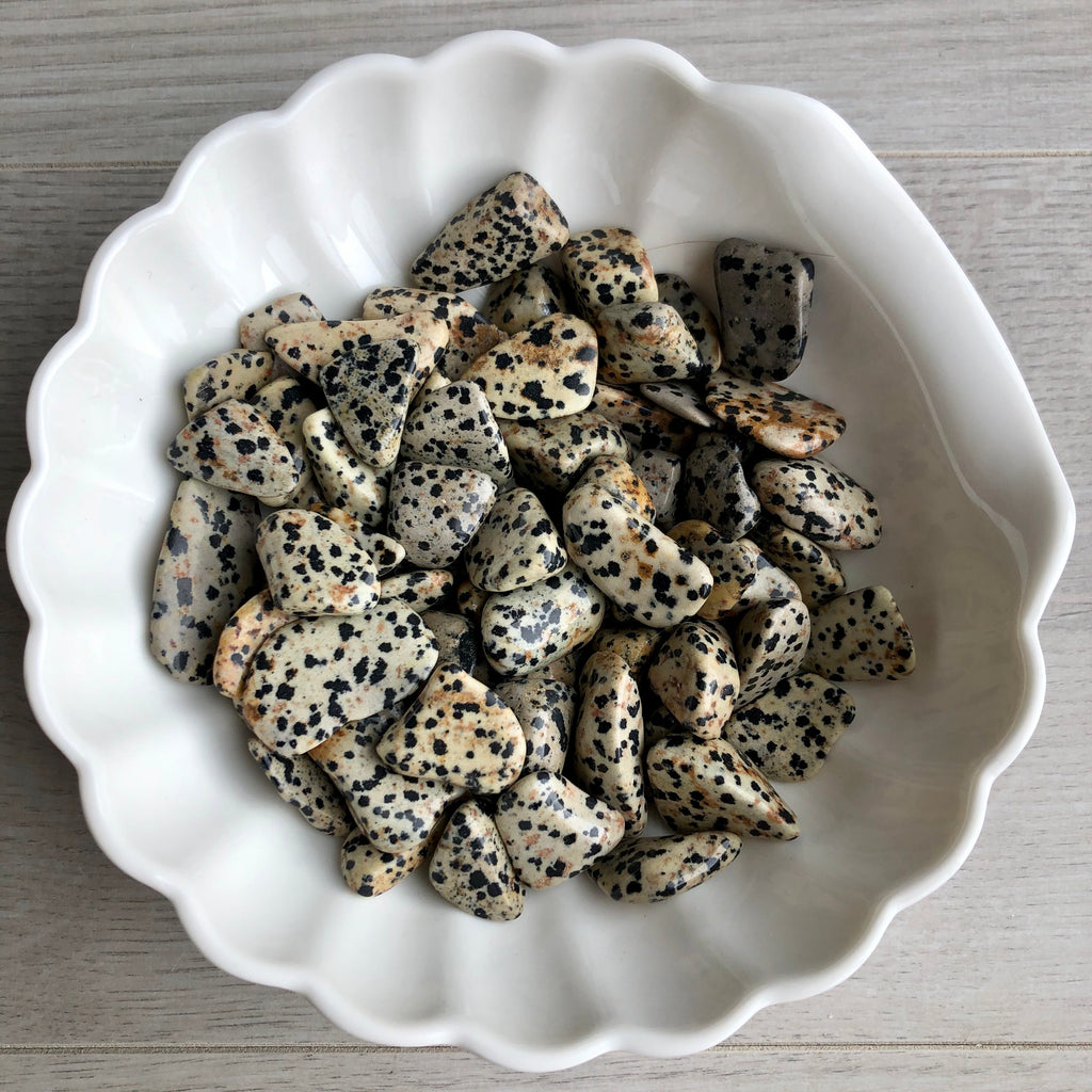 Dalmatian Jasper Tumbled Pocket Stone Crystal Specimen – Wholehearted Crystal Creations