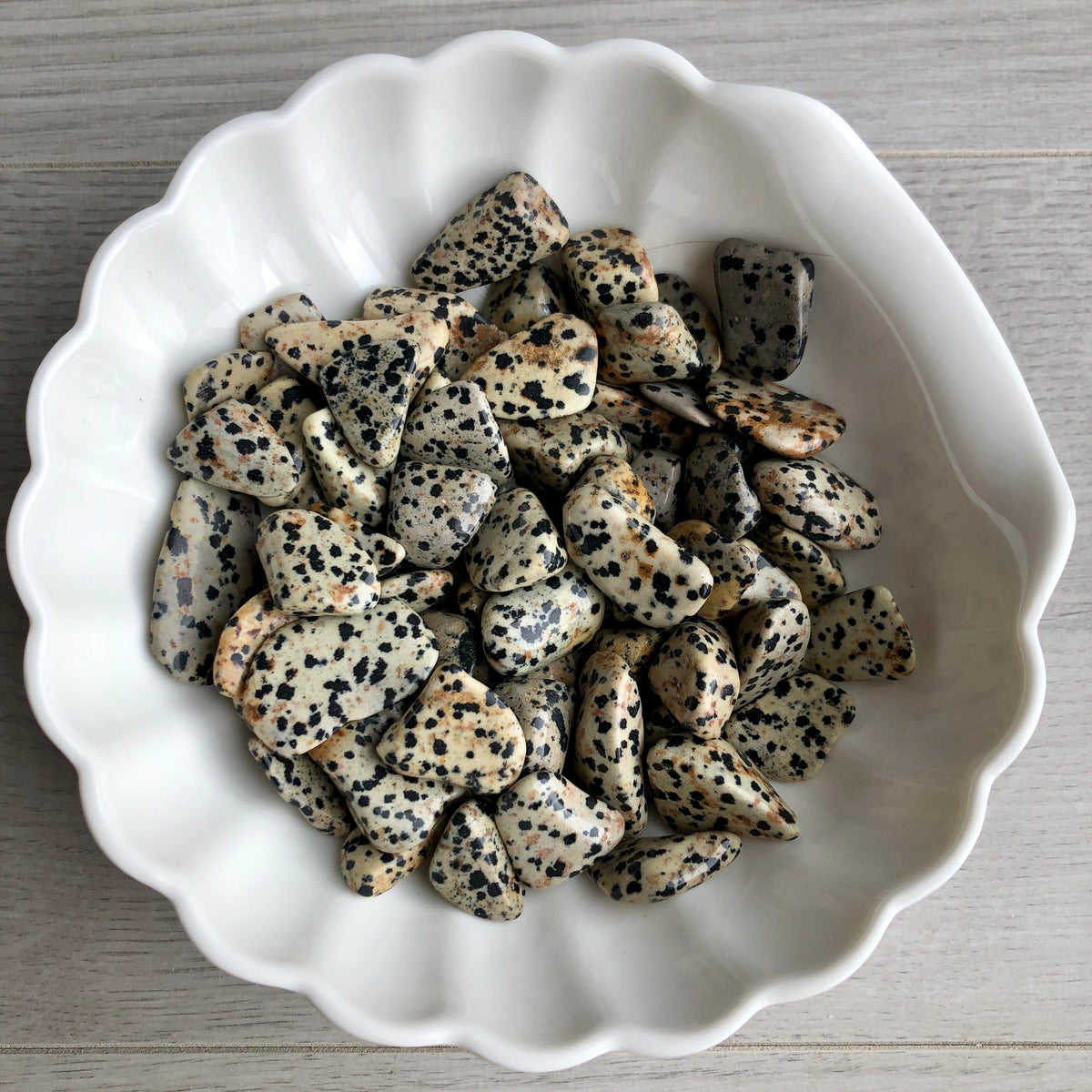 Dalmatian Jasper Tumbled Pocket Stone Crystal Specimen ($2-$5)