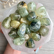 Prehnite with Epidote Tumbled Pocket Stone – Wholehearted Crystal Creations