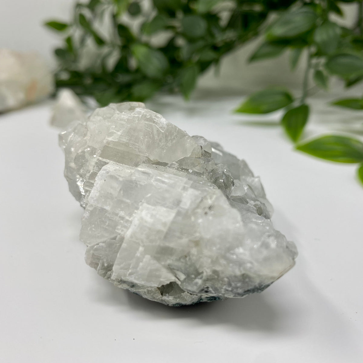 Apophyllite Crystal Specimen – Wholehearted Crystal Creations