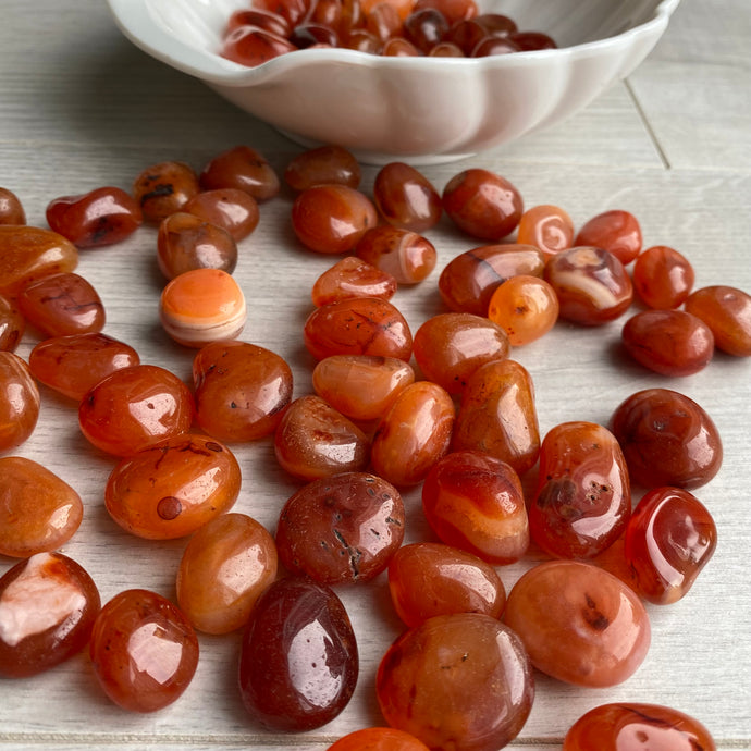 Carnelian tumbled pocket stone crystal specimen