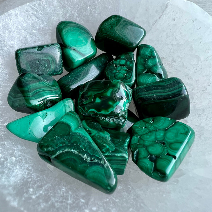 Malachite tumbled pocket stone specimen (xsm)