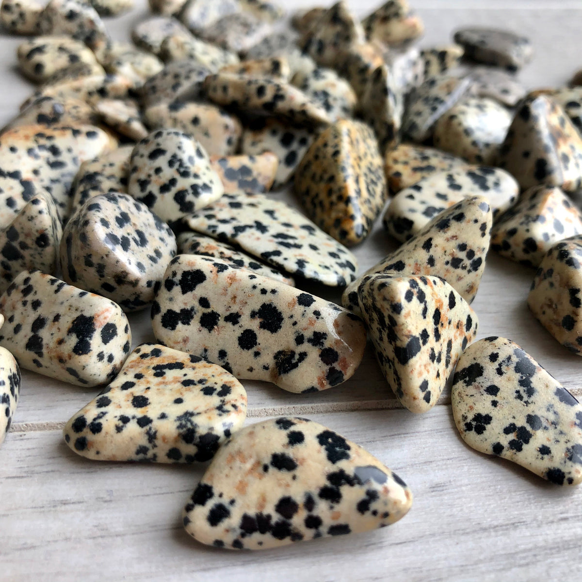 Dalmatian Jasper Tumbled Pocket Stone Crystal Specimen ($2-$5)