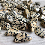 Dalmatian Jasper Tumbled Pocket Stone Crystal Specimen ($2-$5)