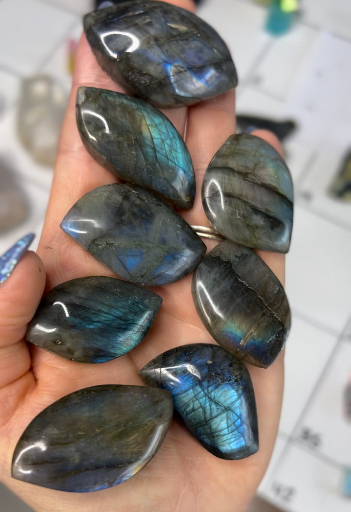 Labradorite Leaf Cabochon Crystal Specimen – Wholehearted Crystal Creations