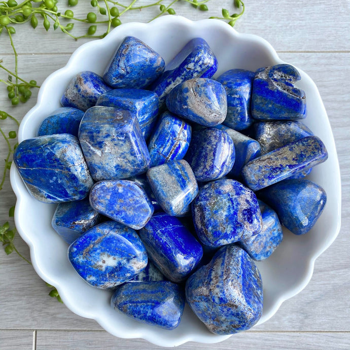 Lapis Lazuli tumbled pocket stone crystal specimen (SM)