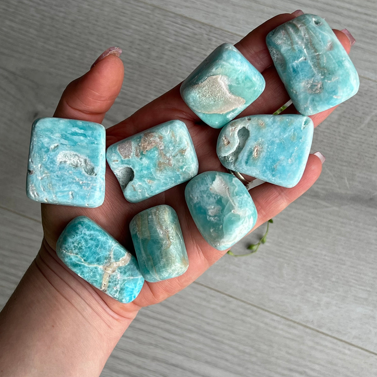 Blue Aragonite Caribbean Calcite Pocket Stone Large – Wholehearted Crystal Creations