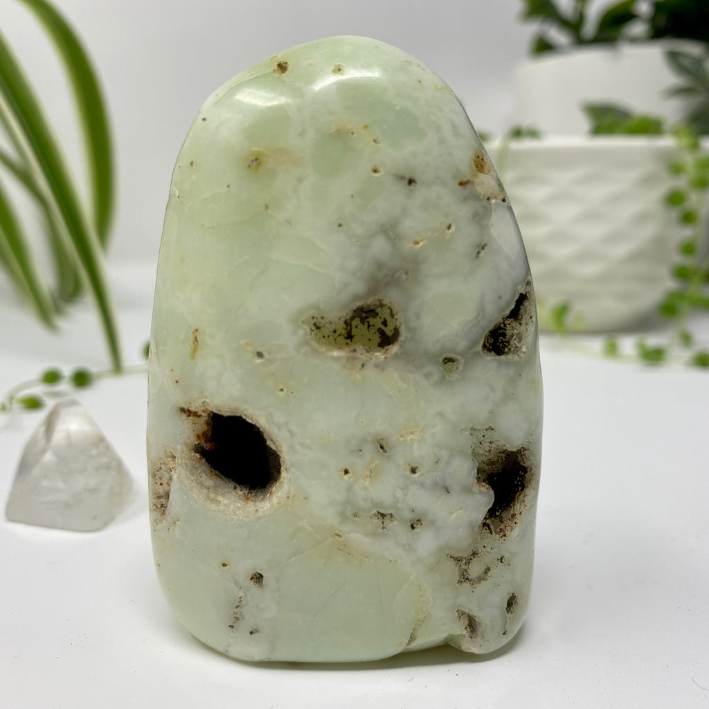 Chrysoprase Crystal Specimen – Wholehearted Crystal Creations