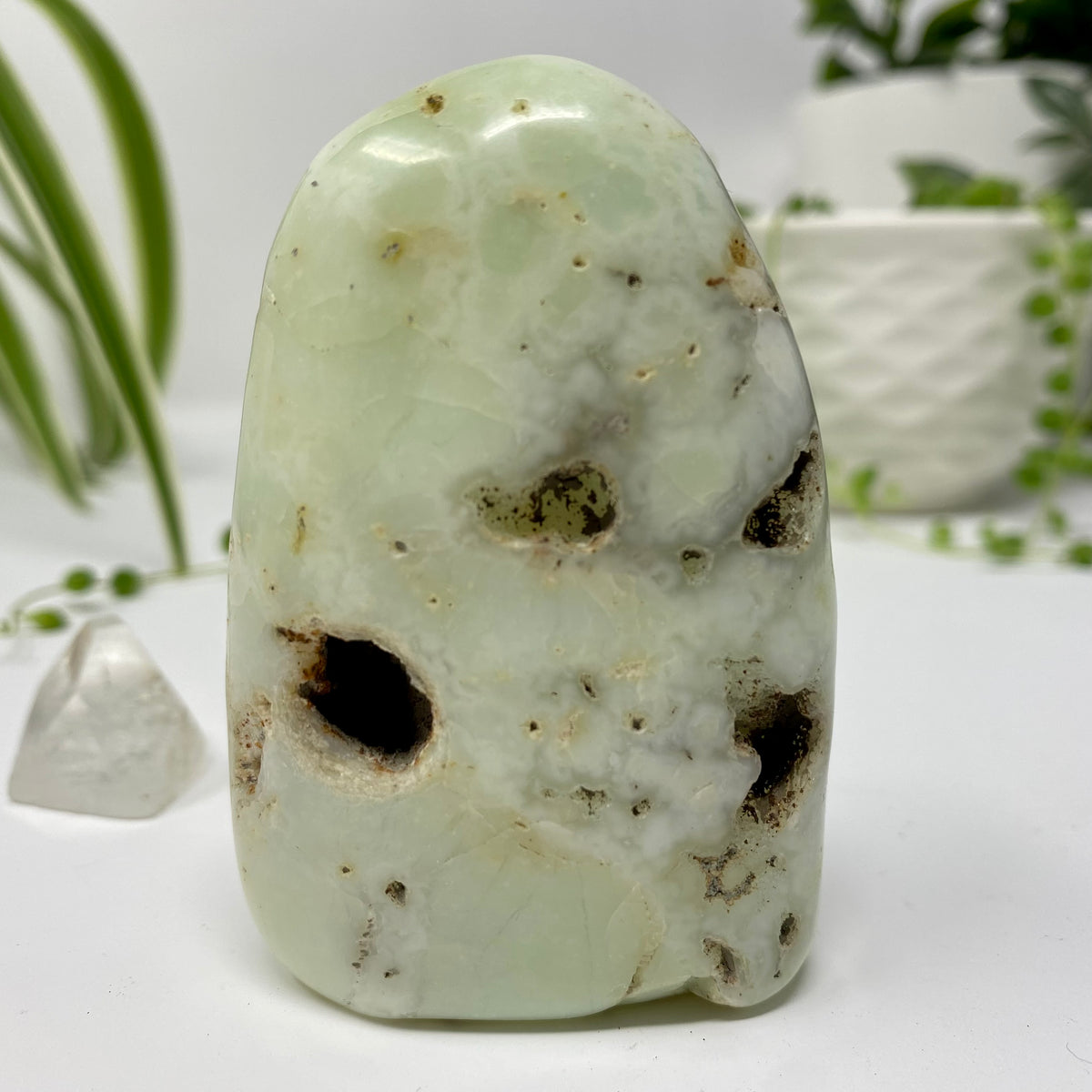 Chrysoprase Crystal Specimen – Wholehearted Crystal Creations