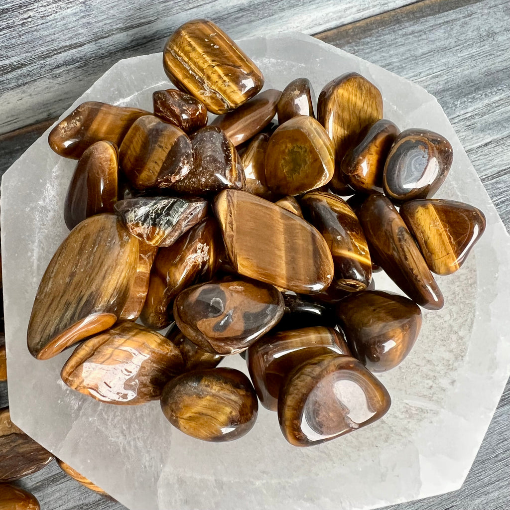 Tiger's Eye Small Tumbled Pocket Stone Crystal Specimen – Wholehearted Crystal Creations