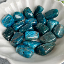 Blue Apatite Tumbled Crystal Specimen (LG)