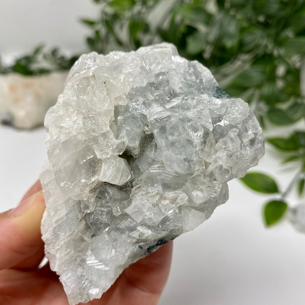 Apophyllite Crystal Specimen – Wholehearted Crystal Creations