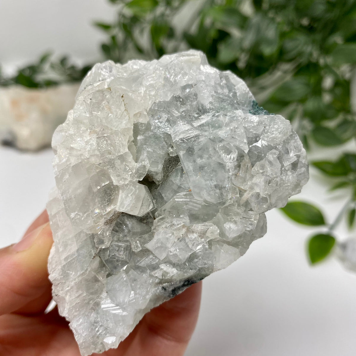 Apophyllite Crystal Specimen – Wholehearted Crystal Creations